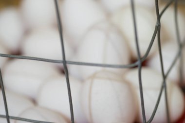 Metal bir sepette taze yumurta