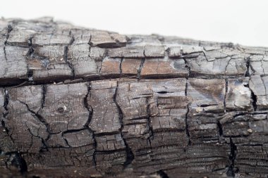 Burnt ahşap doku görünümünü