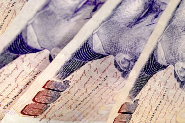 Yüz Arjantinli peso görünümü