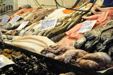 Congrio balık Balık Market
