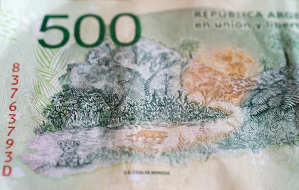 500 Argentina Pesos Contas Detalhe Fundo — Fotografia de Stock