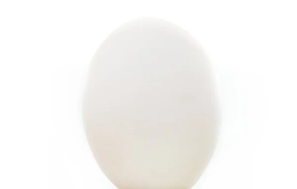 Uovo Bianco Isolato Bianco — Foto Stock