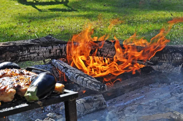 Churrasco Tradicional Argentino Livre Com Carvão Madeira — Fotografia de Stock