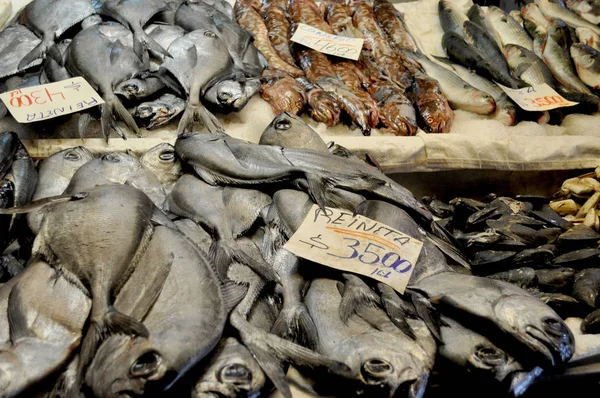 Reineta 물고기 시장에서 — 스톡 사진