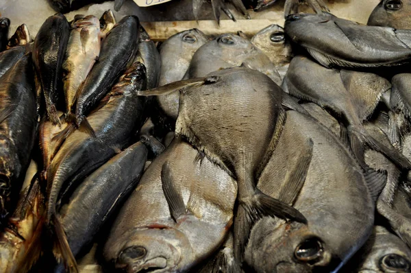 Reineta 물고기 시장에서 — 스톡 사진