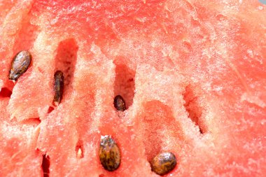 Detaylı closeup karpuz