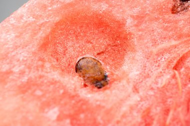 Detaylı closeup karpuz