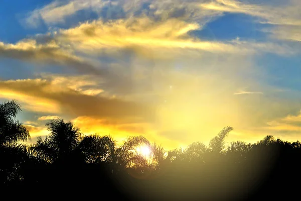 Ηλιοβασίλεμα Σύννεφα Πάνω Από Την Παλάμη Δέντρο — Φωτογραφία Αρχείου
