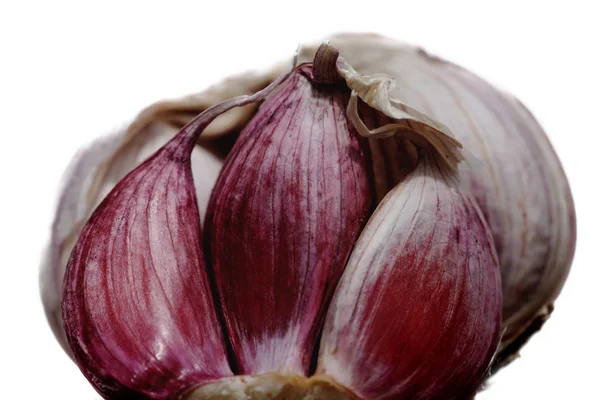 Detail Fresh Garlic — Stock Photo, Image