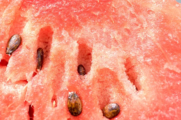 Detaylı closeup karpuz