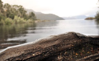 San Martin de los Andes 'teki Lacar Gölü, Patagonya, Arjantin
