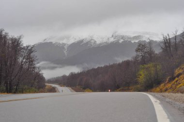 Neuquen, Patagonya, Arjantin Snowcaped andes dağları arka plan ile Rota