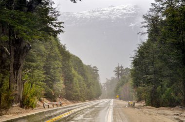 Neuquen, Patagonya, Arjantin Snowcaped andes dağları arka plan ile Rota