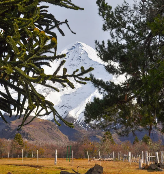 Lanin 火山是阿根廷和智利边境上一个冰层的锥形胡德雪山 它构成了二个国家公园的部分 Lann 在阿根廷和比亚里卡在智利 — 图库照片