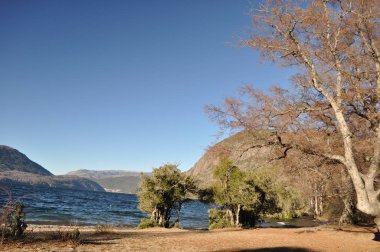 Lakar Lake, Patagonia Argentina clipart