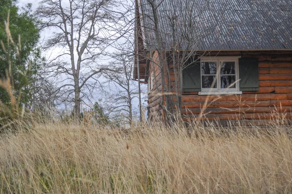 Pequeña Cabaña Medio Del Bosque San Martín Los Andes Patagonia — Foto de Stock