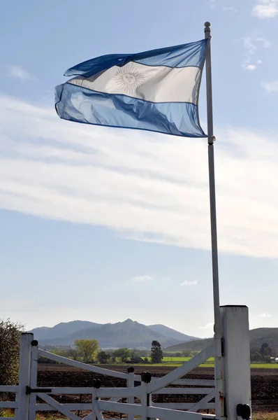 Bandera Argentina Ondeando Día Soleado Contra Azul — Foto de Stock
