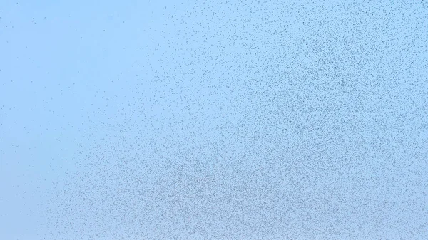Много Больших Облаков Комаров Против Голубого Неба — стоковое фото