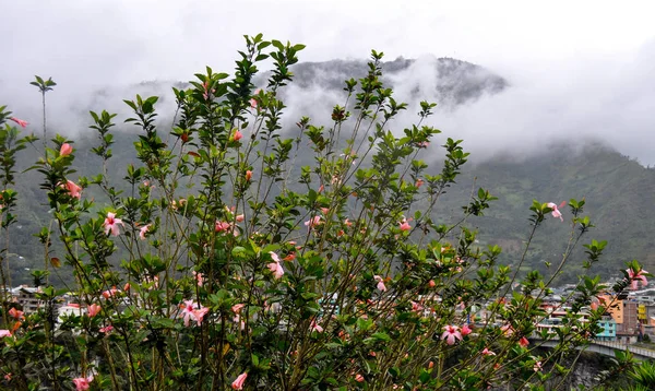 Banos Agua Santa Provincie Tungurahua Ekvádor — Stock fotografie