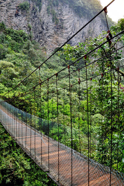 Wooden bridge in the rain forest of Banos de Agua Santa, Ecuador