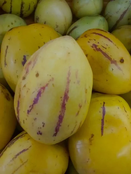 Menutup Pandangan Mentimun Manis Solanum Muricatum — Stok Foto