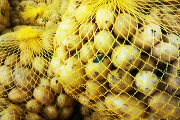 Close View Peruvian Andean Potato — Stock Photo, Image