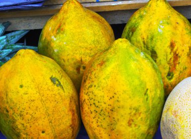 Babaco, Ekvador 'da yetişen bir meyve ve 2000 metrenin üzerinde yükseklikte ve en soğuk tolerans gösteren bitki.