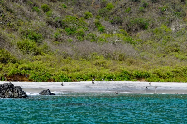 Playa Tropical Puerto López Ecuador — Foto de Stock