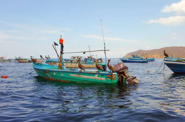 漁船にペリカンがまなび省 エクアドルのプエルト ロペス ポートを見られているプエルト ロペス エクアドル 2016 — ストック写真