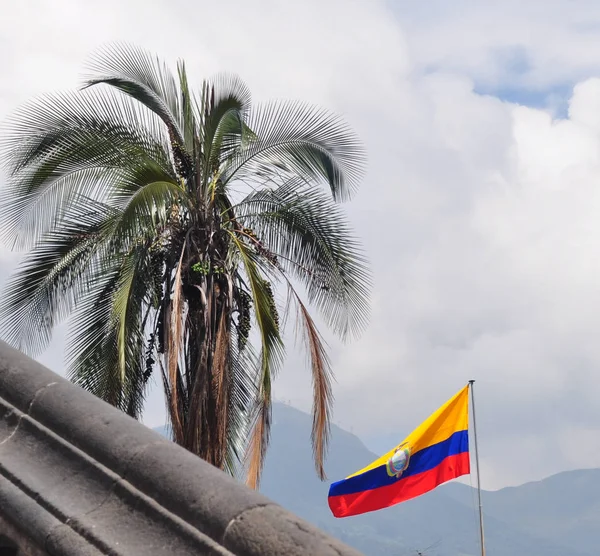 Palmeira Tropical Bandeira Equador Praça Principal Quito Equador — Fotografia de Stock