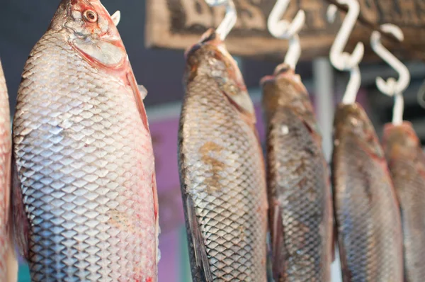 로사리오 산타페가 아르헨티나 Leporinus Obtusidens 어시장에가 물고기 — 스톡 사진