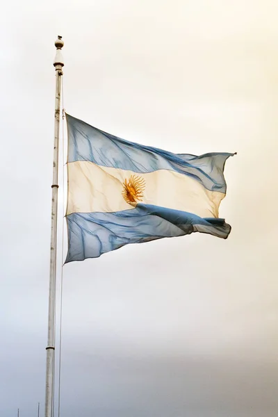 Flagga Argentina Viftande Utomhus — Stockfoto