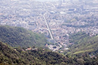 Rio de Janeiro, Tijuca Ormanı