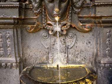 Rio de Janeiro, Brezilya botanik bahçesinde eski Çeşme