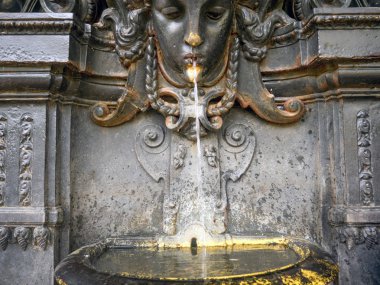 Rio de Janeiro, Brezilya botanik bahçesinde eski Çeşme
