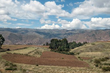Patates ekimi kutsal Valley Cusco, Peru