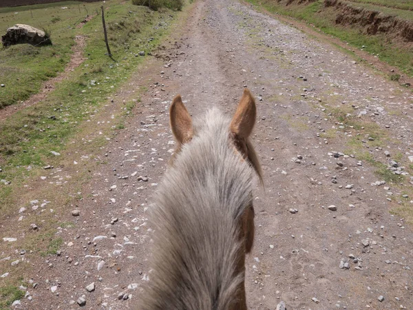 Häst Berget Grusväg Med Rider Synvinkel — Stockfoto