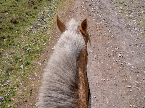 Häst Berget Grusväg Med Rider Synvinkel — Stockfoto