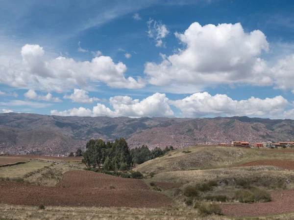 Bramborový Plantáž Posvátné Údolí Cusco Peru — Stock fotografie