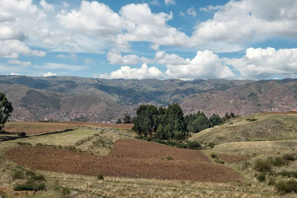 Bramborový Plantáž Posvátné Údolí Cusco Peru — Stock fotografie