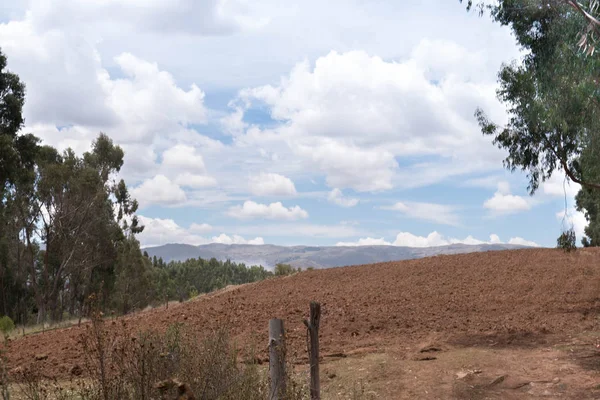 Bramborový Plantáž Posvátné Údolí Cusco Peru — Stock fotografie