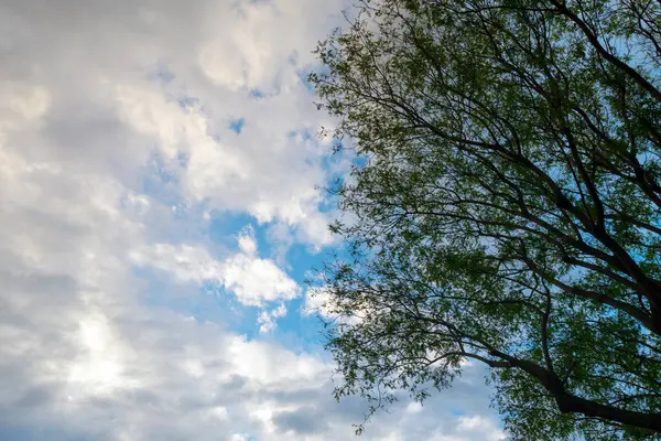 # Gün batımında bulutlu renkli dramatik gökyüzü #