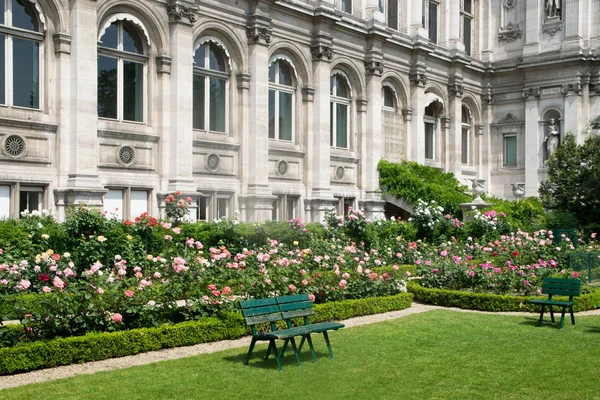 Garden of Roses in Paris, France