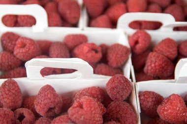 Ahududu kutuları Satılık