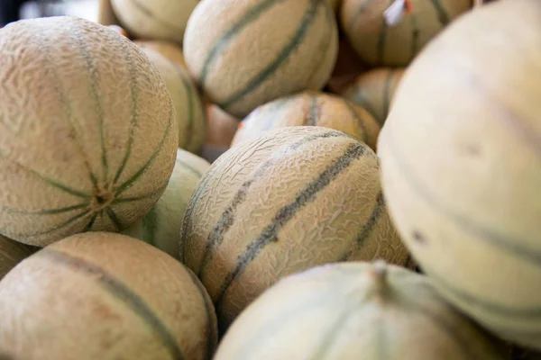 Meloni Maturi Appena Raccolti Vendita Dal Negozio Alimentari — Foto Stock