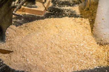 Gevrek ağaç talaşı yığını