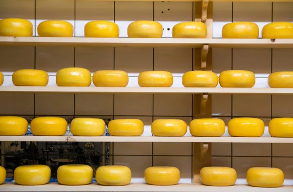 Stack of cheese in a store at Amsterdam, Netherlands