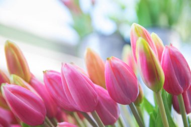 Güzel bir buket lale.