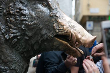 People put a coin in the mouth of bronze boar fountain at Il Mercato Nuovo or the New Market, Florence, Italy clipart