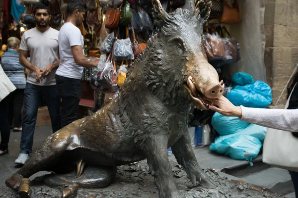 İnsanlar bir bronz domuzu çeşmede Il Mercato Nuovo veya yeni Pazar, Floransa, İtalya ağzına koydu